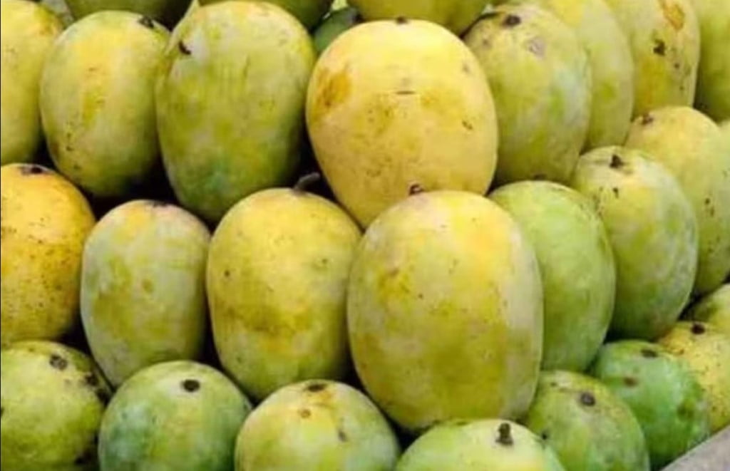 The heat has also affected the Banarasi Langra mango, it will not be sent abroad.