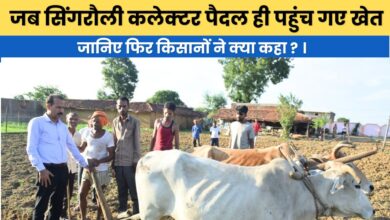 When Singrauli collector reached the farm on foot to meet the farmers