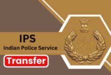 IPS Transfer MP