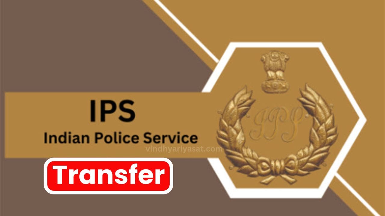 IPS Transfer MP