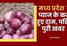 Onion prices reduced in Madhya Pradesh, read full news