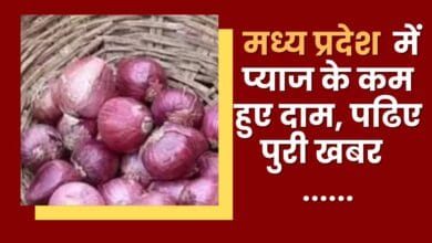 Onion prices reduced in Madhya Pradesh, read full news